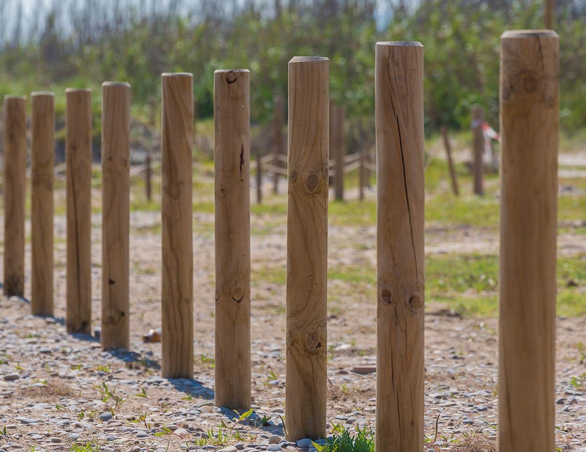 Pfähle und Rundhölzer in verschiedenen Varianten Eine Reihe mit Pfählen in der Landschaft